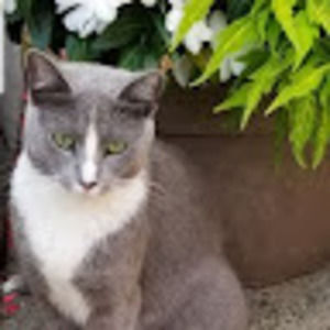 Meet your Posher, Nal